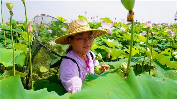 锦石乡交通新闻，现代化交通体系建设步伐加快