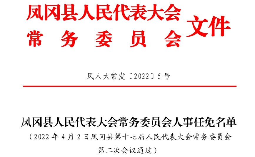 大关县文化局人事任命揭晓，开启文化事业崭新篇章